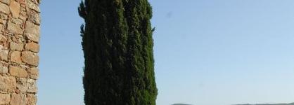 Borgo Castelvecchi