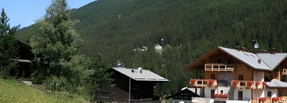 Vedig