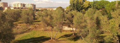 Granduca