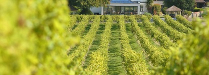 Denbies Vineyard Hotel