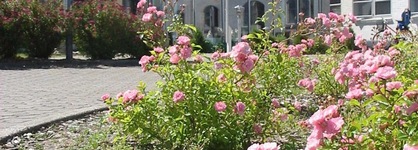 Hotel Søparken