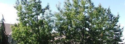 Residence Inn By Marriott Portland Hillsboro