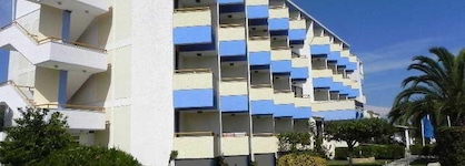 Cooee Albatros