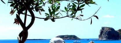 Delfini Beach Hotel