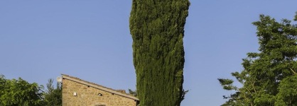 Il Vignolino Bed And Breakfast