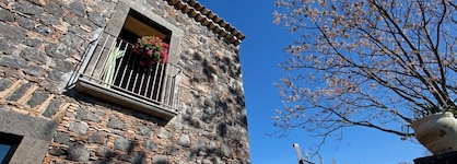 Bosco Ciancio