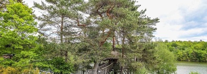 Vacancéole - Le Domaine Des Monédières