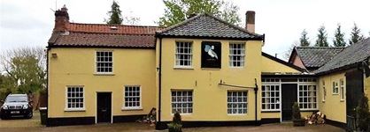 The Pelican