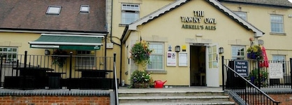The Tawny Owl