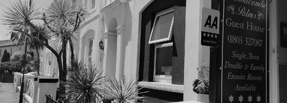 Babbacombe Palms