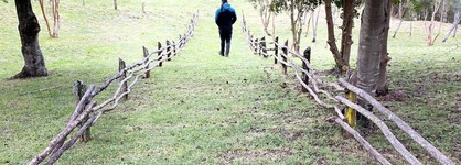 Parque Quilquico