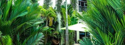Palm Oasis Boutique Hotel