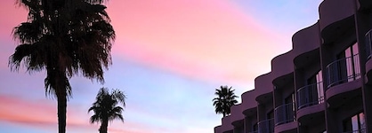 The Standard Hollywood
