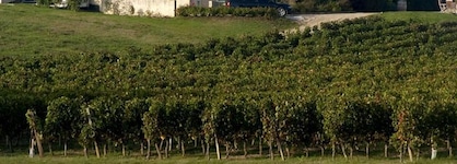 Pey La Tour - Logis Hôtels & Restaurant