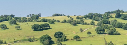 Alltybrain Farm Cottages And B&B