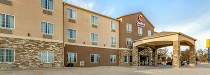 Comfort Inn & Suites Near Bethel College