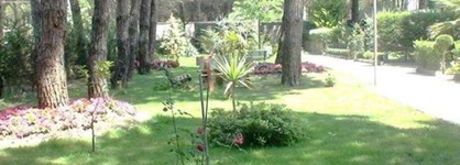 Marea Resort