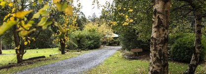 Cradle Forest Inn
