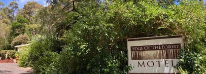 Edge Of The Forest