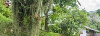 Anse Soleil Resort Self Catering