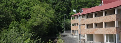 Tsaghkahovit