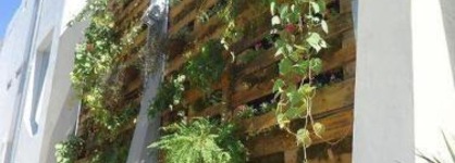 Hotel Platino Termas All Inclusive