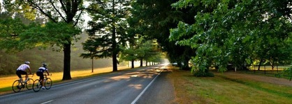 Chestnut Tree Holiday Apartments