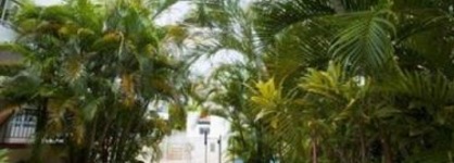 Mardi Gras Holiday Resort