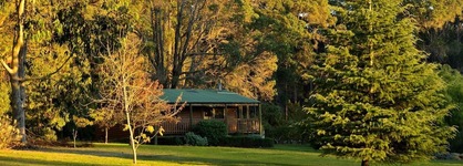 Diamond Forest Farm Stay
