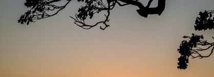 Tamborine Mountain B&B