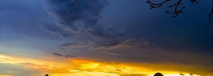 Blackwattle Farm B&B And Farm Stay