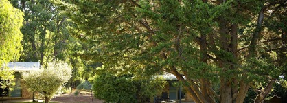 Peppermint Brook Cottages