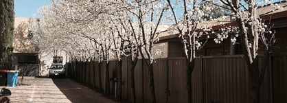 Central Shepparton Apartments