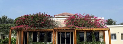 Al Bander Hotel & Resort
