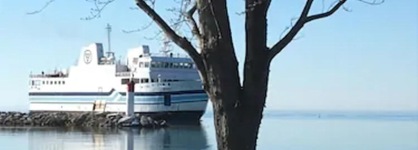 Seacliffe Inn