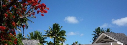 Little Polynesian Resort