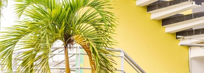 Hotel Manantial