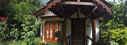 The Lotus Garden