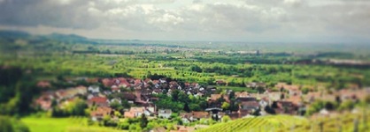 Pflugwirts Hotel Und Gasthaus