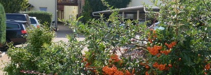 Hotel Pension Mandy