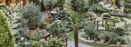 Garden Boutique Hotel Berlin - Mitte
