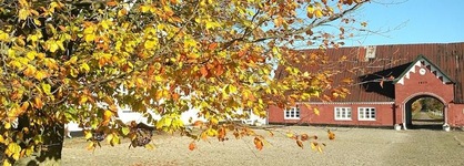 Holtegaard Bed & Breakfast