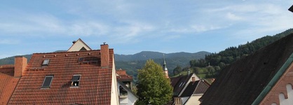 Restaurant Hotel Zum Storchen