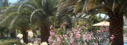 Tropic Hotel
