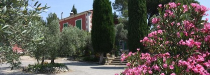 Le Madaleno