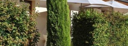 Hotel Le Mas Del Pechs