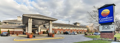 Comfort Inn & Suites Ambassador Bridge