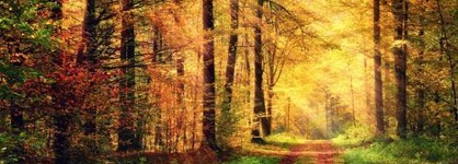 Wellness & Ayurveda Hotel Am Eichenberg