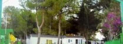 Camping Los Pinos