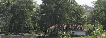 Hibiscus Cottages